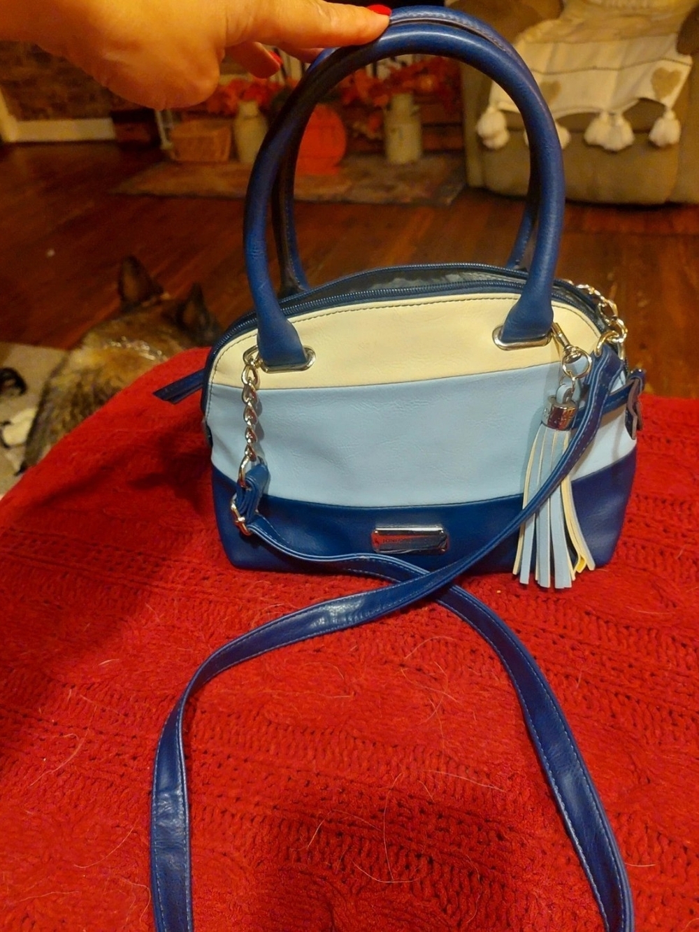 Jones New York Blue and White Tri-Panel Crossbody Satchel